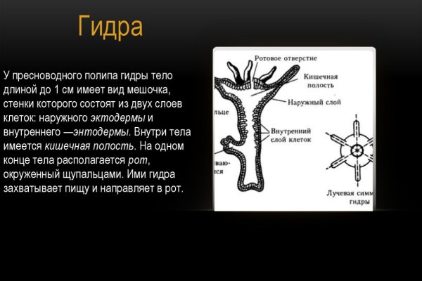 Что продает маркетплейс кракен