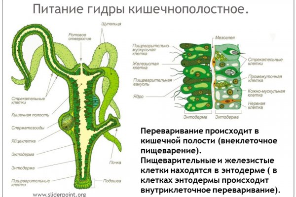 Актуальное зеркало на кракен