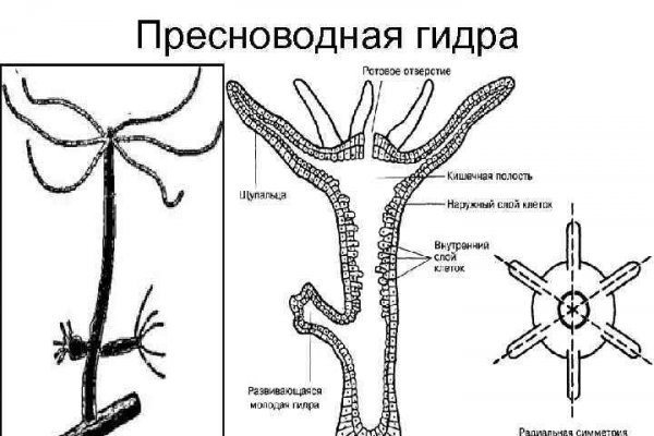 Купить наркотики томск